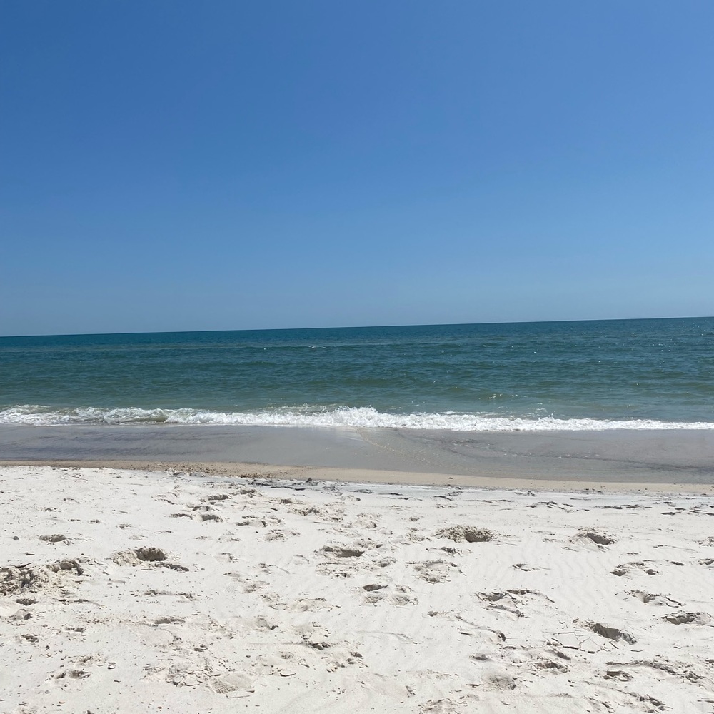 Meet your Posher, Maddie